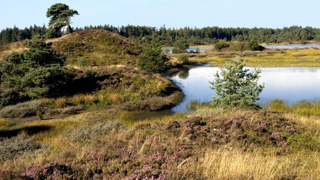 Landschaft, die zur gedanklichen Zeitreise einlädt © Visitvejle.dk