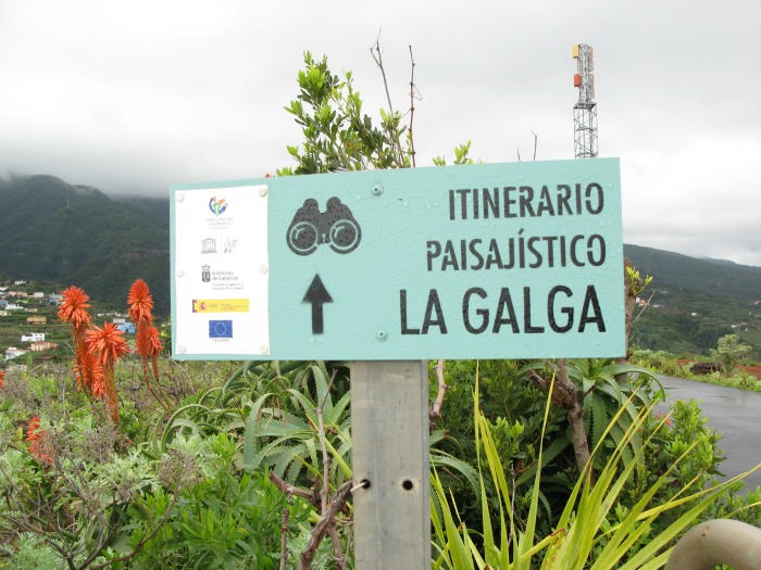Fastenwandern auf La Palma Regenwald La Galga 40-something.de