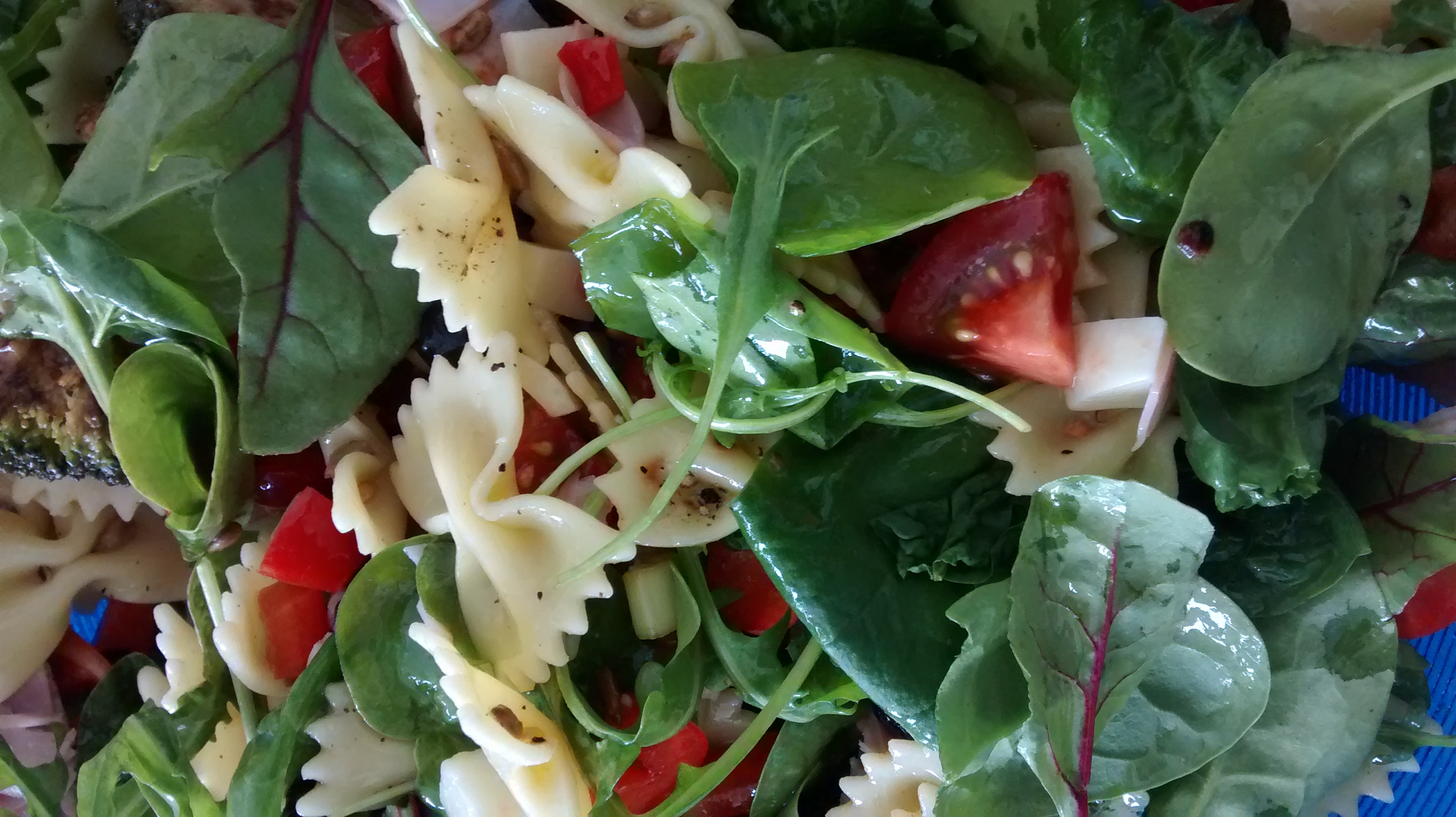 Warum Wachst Salat Aus Warum Wachst Salat Aus