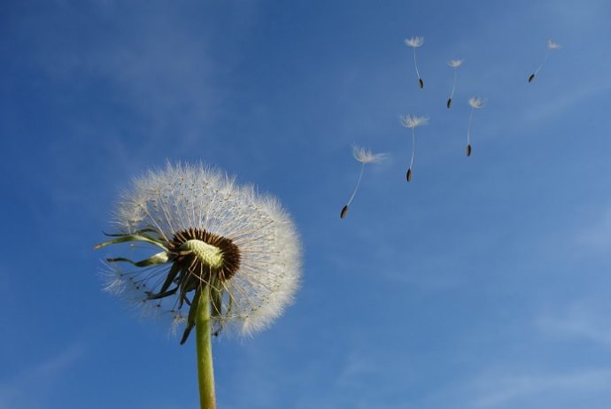 Loslassen fällt oft schwer