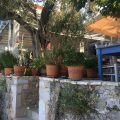 Urlaub mit Teenagern