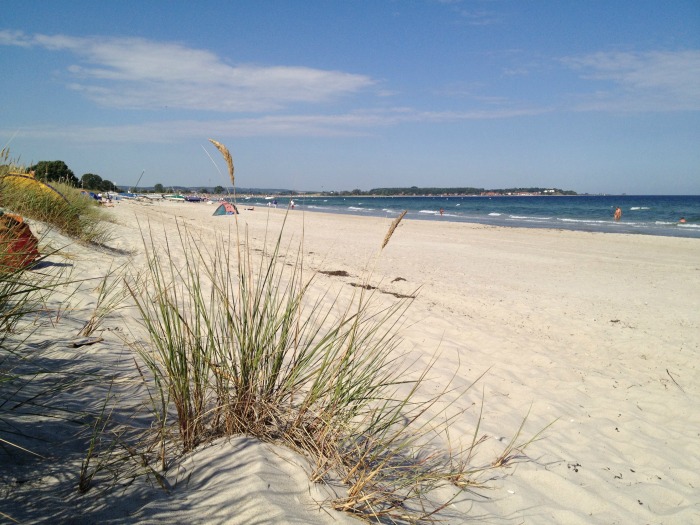 Home office oder Strand @estherlangmaack