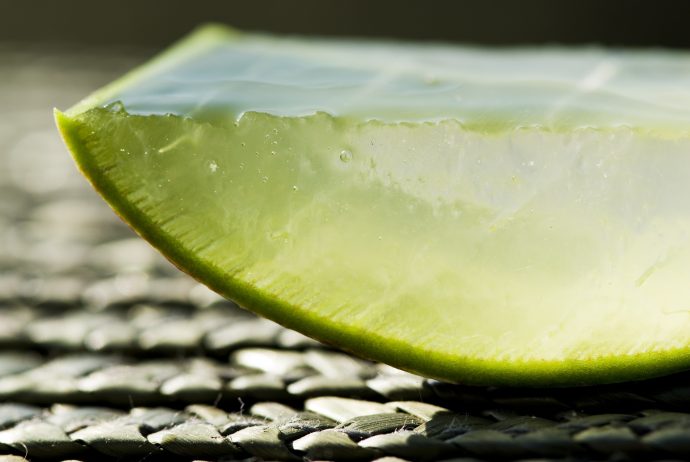 Aloe Vera-Naturkosmetik