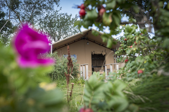 Ungewoehnliche Uebernachtungen im Norden Glamping Copyright: Axel Martens 